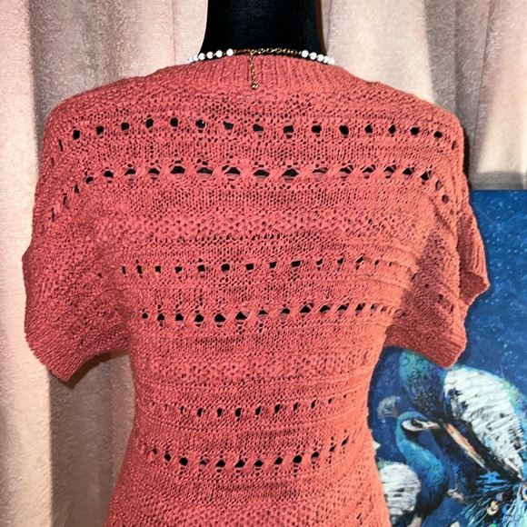 Architect Size PS Short Sleeve Coral Sweater - Picture 7 of 9